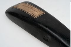 Foto von Steindechsel (NHMW-PRAE-063348)
